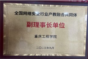 软件和信息技术服务业的软件开发